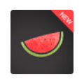 Melon VPN icon