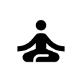 Tao icon