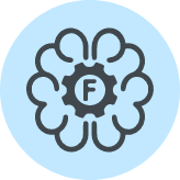 FDE.AI icon