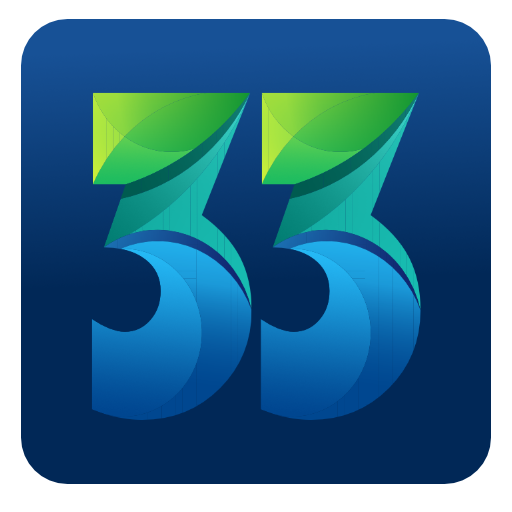 33 VPN icon