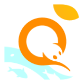 QIWI icon