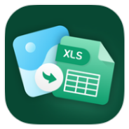 Image to Excel icon