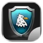 Eagle Security icon