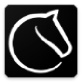 lichess icon