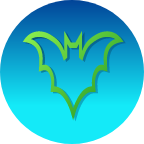 BBVpn icon