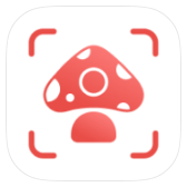 Picture Mushroom icon