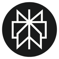 Perplexity icon