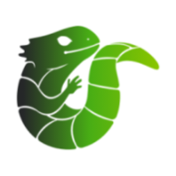 Midori Lite icon