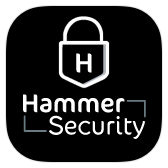 Hammer icon