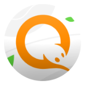 QIWI icon