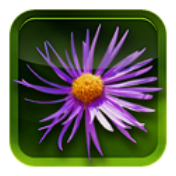 Fleurs en poche icon