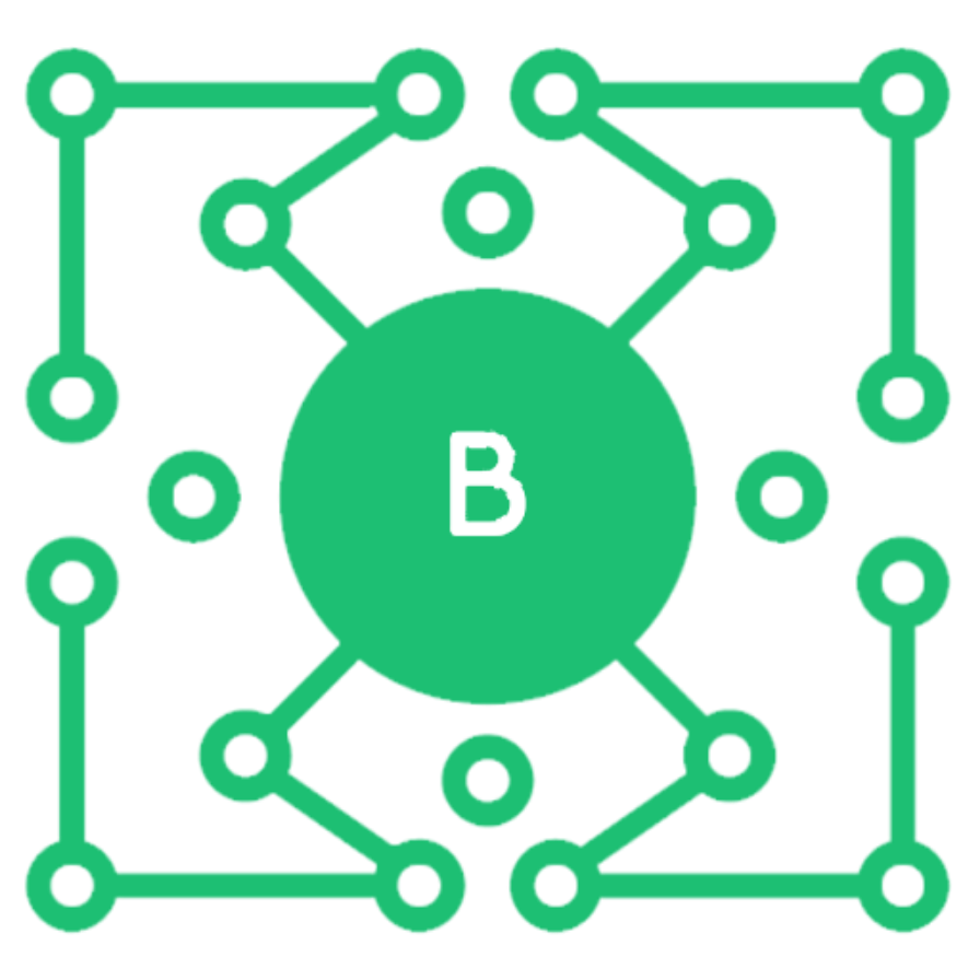 BardoVPN icon