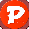 Psiphon Pro icon