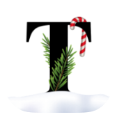 Text icon