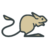 Jerboa for Lemmy icon