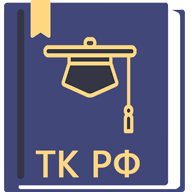 Трудовой кодекс РФ icon