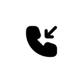 Alternate icon