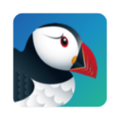 Puffin icon