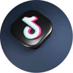 TikTok Lite icon