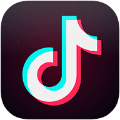 TikTok icon