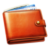 Wallet icon