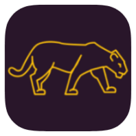 VPN Panther icon