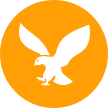 HttpCanary icon