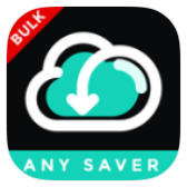 AnySaver icon