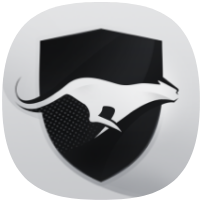 Run vpn icon