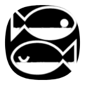 AVN2 icon