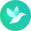 TinyVPN icon