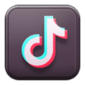 TikTok icon