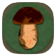 Book of mushrooms icon