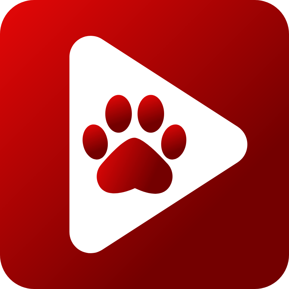Bear Player icon