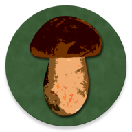 Book of mushrooms icon