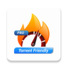 Hot VPN Pro icon