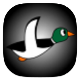 DuckHunt icon