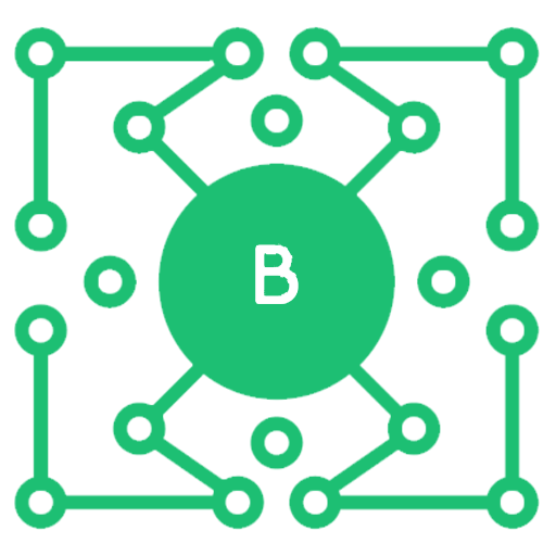 BardoVPN icon