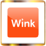 Wink icon