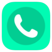 The Phone icon