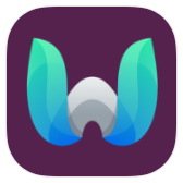 Wall Factory icon