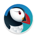 Puffin icon