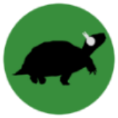 Tortoise icon