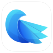 Canary icon