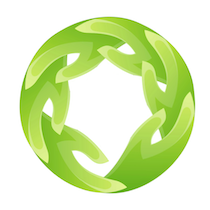 Kiwi VPN icon