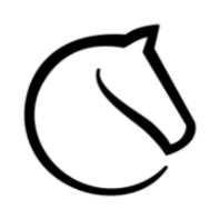 lichess icon