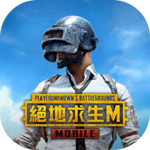 PUBG MOBILE icon