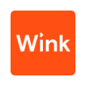 Wink icon