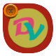 DVGet Pro icon