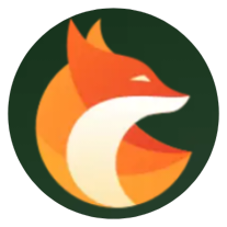 Foxify VPN icon